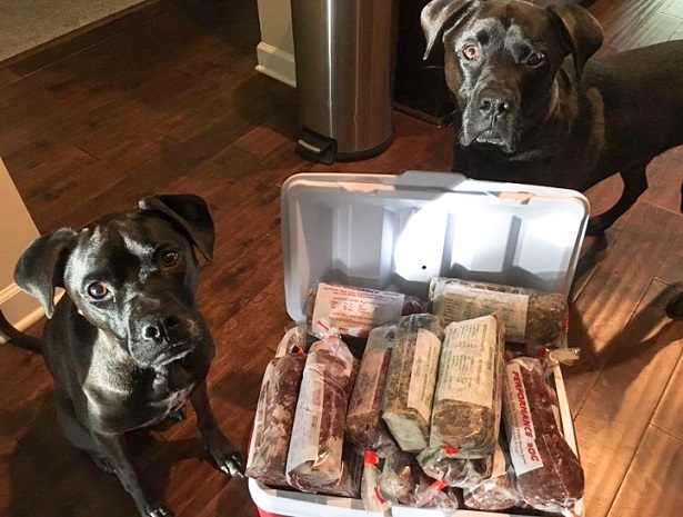 Qu'est-ce que les tripes vertes crues pour les chiens ? Quels sont les avantages des tripes vertes ? - img
