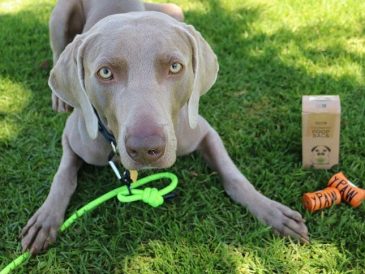 Sacs à crottes pour chiens Earth Friendly - Mighty Paw - 2 $ de rabais - img