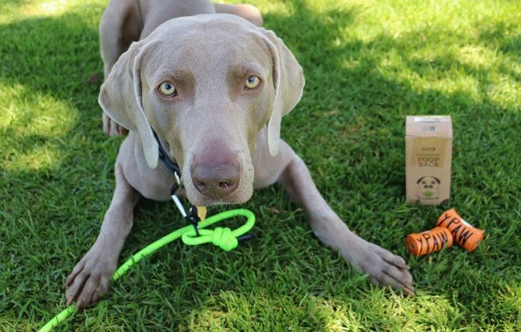 Sacs à crottes pour chiens Earth Friendly - Mighty Paw - 2 $ de rabais - img