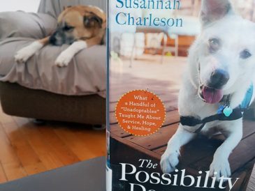 The Possibility Dogs - Revue de presse 1