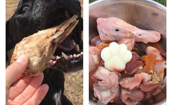 Vital Essentials Raw Bar pour chiens - Snacks crus et sains - img