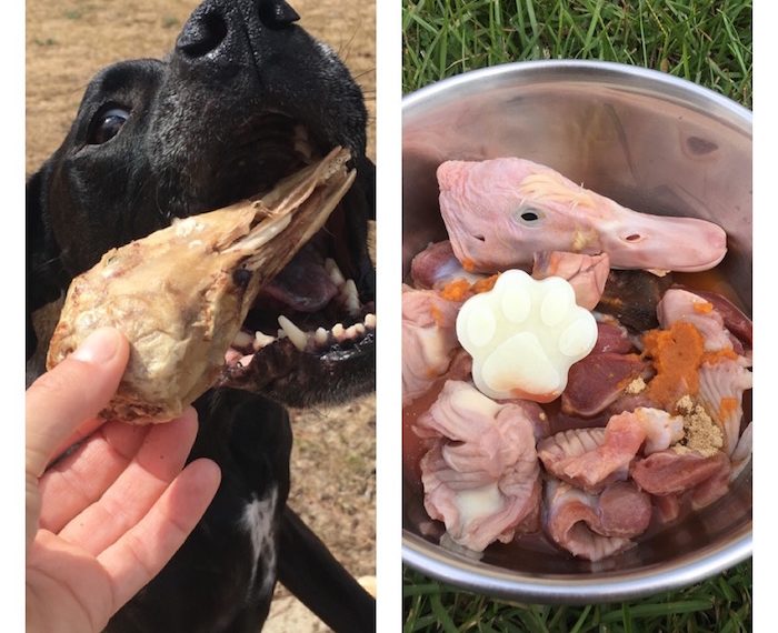 Vital Essentials Raw Bar pour chiens - Snacks crus et sains - img