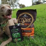 Peut-on donner de la nourriture crue à un chien atteint d&rsquo;un cancer ?