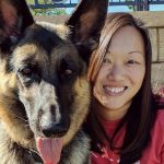 Comment apprendre à votre chien l&rsquo;ordre de placement – Lits portables pour chiens