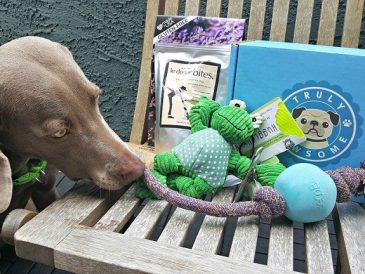 Boîtes d'abonnement That Mutt Dog en édition limitée de Truly Pawsome - img