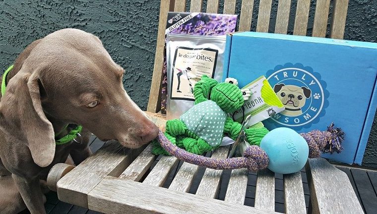 Boîtes d'abonnement That Mutt Dog en édition limitée de Truly Pawsome - img