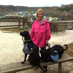 Hackles on a Dog – Que signifie le fait que mon chien ait les babines relevées ?