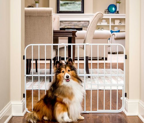 Comment empêcher votre chien de détruire vos affaires - Pet Gates - img