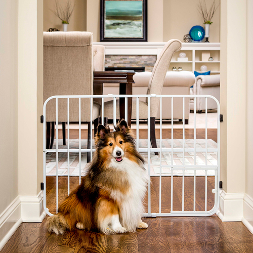 Comment empêcher votre chien de détruire vos affaires - Pet Gates - img