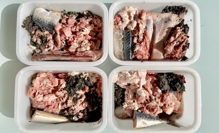 Comment nourrir son chien avec des aliments crus ? - img