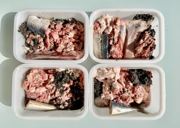 Comment nourrir son chien avec des aliments crus ? - img
