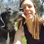 Agressivité entre chiens d&rsquo;une même famille – rivalité entre frères et sœurs