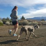 Mighty Paw Long Training Leash Review and Promo Code