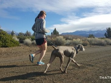 Entraînement à l'ultra-marathon avec des chiens - img