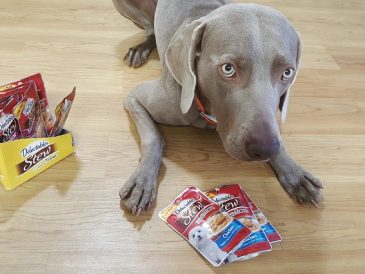 Examen et offre de gâteries pour chiens Delectables - img