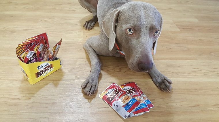 Examen et offre de gâteries pour chiens Delectables - img