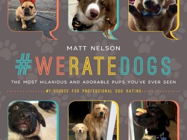 Interview : Créateur de #WeRateDogs - img
