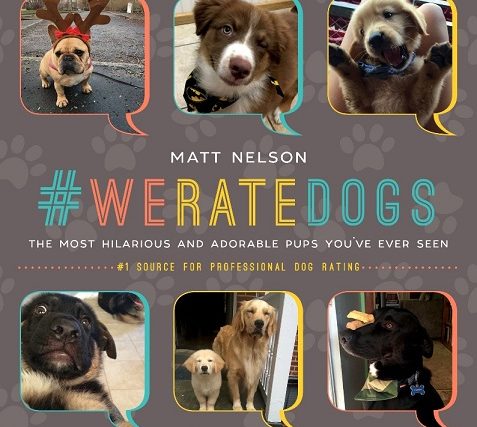 Interview : Créateur de #WeRateDogs - img