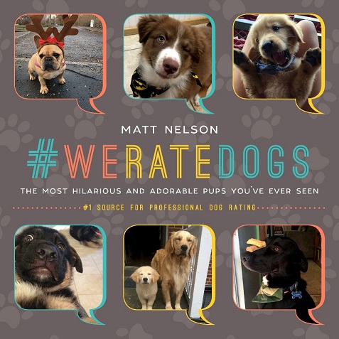 Interview : Créateur de #WeRateDogs - img