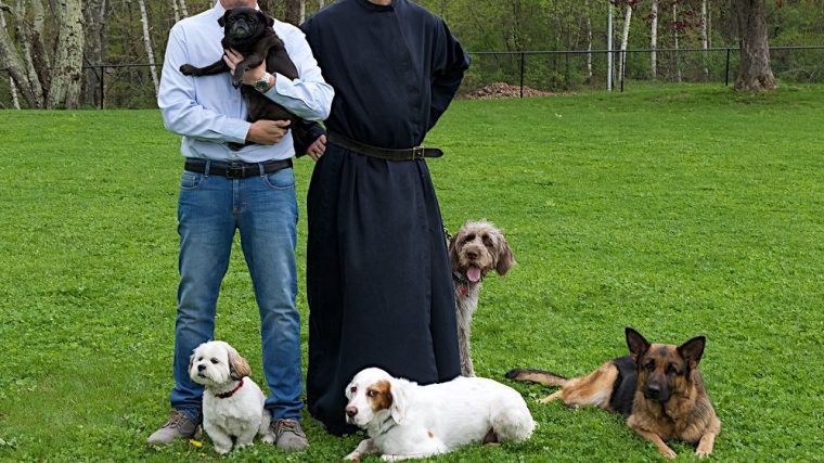 Interview : Marc Goldberg, auteur de "Let Dogs Be Dogs" (Que les chiens soient des chiens) - img