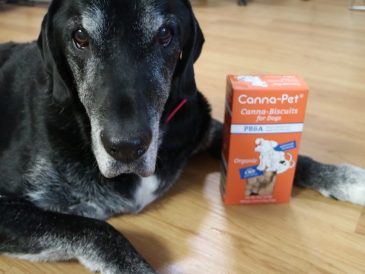 Les friandises au CBD pour chiens - Canna-Pet : avis et cadeau - img
