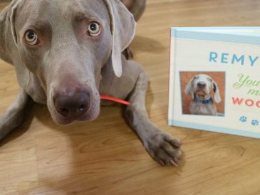 Livres personnalisés pour chiens - Put Me in the Story Review - img
