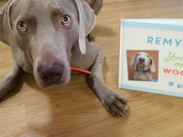 Livres personnalisés pour chiens - Put Me in the Story Review - img