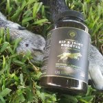 Mighty Paw Double Dog Leash Review and Coupon Code