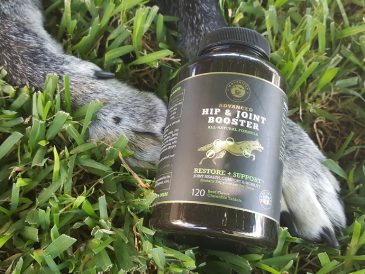 Mavericks Ranch : avis et code promo - Booster de hanches et d'articulations pour chiens - img