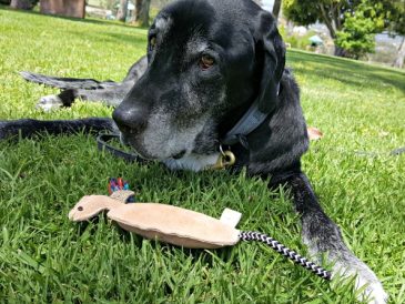 Mighty Paw Leather Squeaky Toys Review and Coupon Code - img