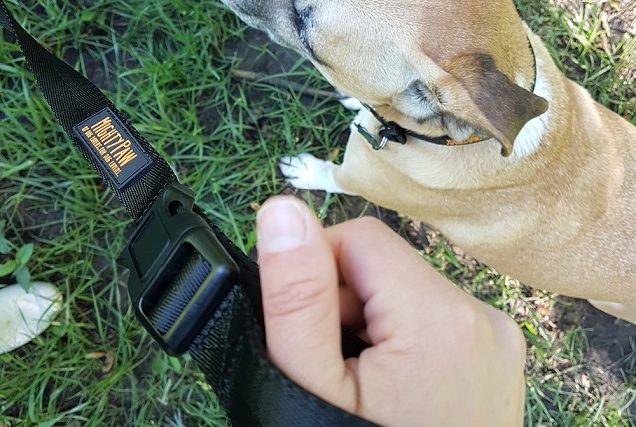 Mighty Paw Long Training Leash Review and Promo Code - img