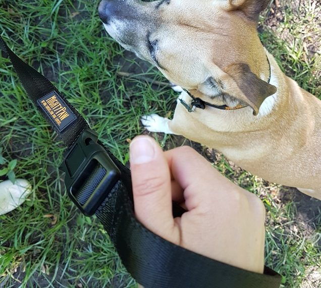 Mighty Paw Long Training Leash Review and Promo Code - img
