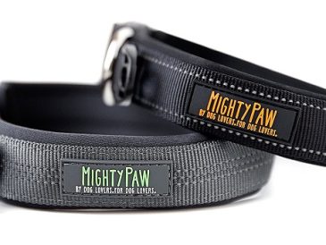 Mighty Paw Padded Sport Collar Review and Coupon Code - img