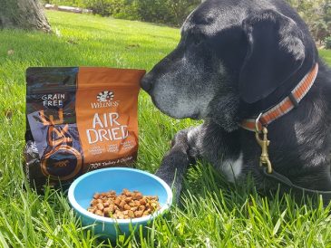 Nourriture pour chiens Wellness CORE séchée à l'air - Giveaway - img