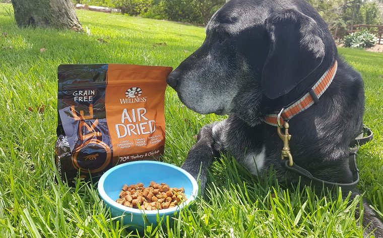 Nourriture pour chiens Wellness CORE séchée à l'air - Giveaway - img