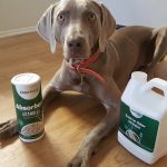 Nourriture pour chiens Wellness CORE séchée à l&rsquo;air – Giveaway