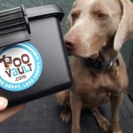 Je ne suis pas la mère de mon chien
