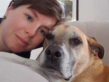 Rapport sur les résolutions de l'année pour mon chien - img
