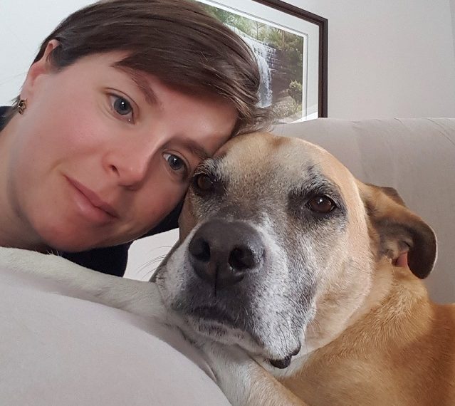 Rapport sur les résolutions de l'année pour mon chien - img