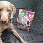 Boîtes d&rsquo;abonnement That Mutt Dog en édition limitée de Truly Pawsome
