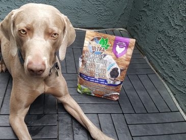 Revue de la nourriture pour chiens Terra Ultra - Nourriture saine pour chiens et chats - img