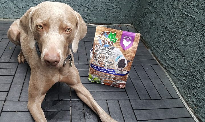 Revue de la nourriture pour chiens Terra Ultra - Nourriture saine pour chiens et chats - img