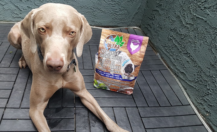 Revue de la nourriture pour chiens Terra Ultra - Nourriture saine pour chiens et chats - img