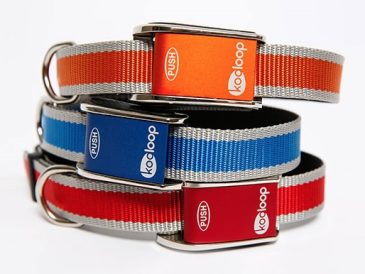 Collier pour chien Kooloop : avis et cadeau - img
