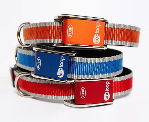 Collier pour chien Kooloop : avis et cadeau - img