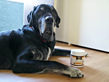 K9 Nature Supplements Review and Coupon Code - Hip & Joint Revita Chews - img