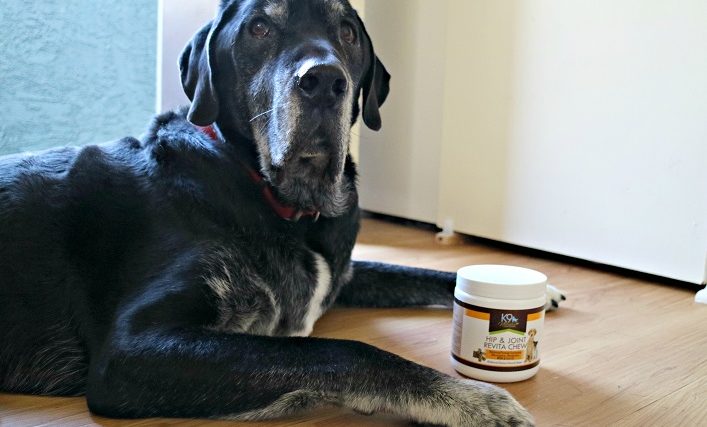 K9 Nature Supplements Review and Coupon Code - Hip & Joint Revita Chews - img