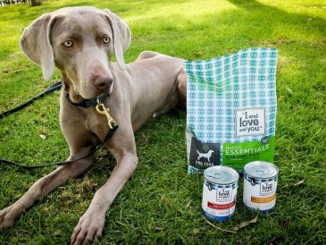 La nourriture pour chiens "I and Love and You" : test et cadeau - img