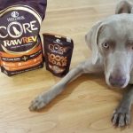 Votre chien a-t-il un surnom ?