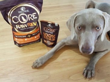 La nourriture pour chiens Wellness CORE RawRev : revue et cadeau - img